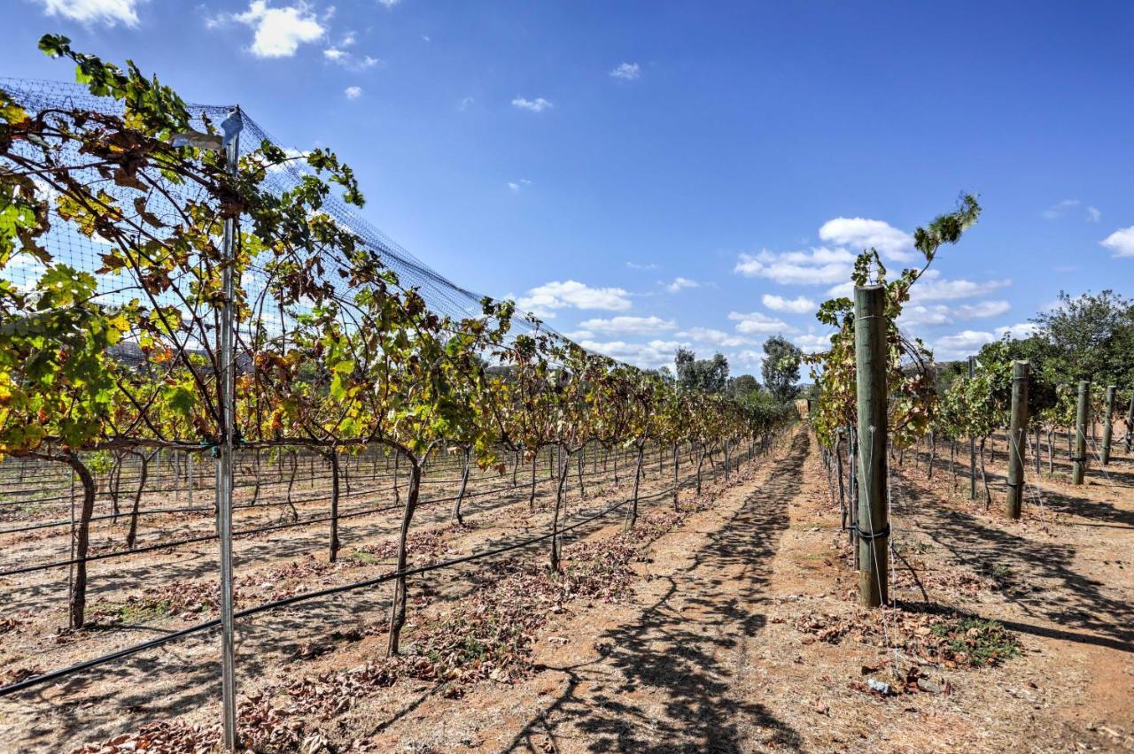 Villa Escondido Vineyard Estate Walk To Wineries! Exterior foto