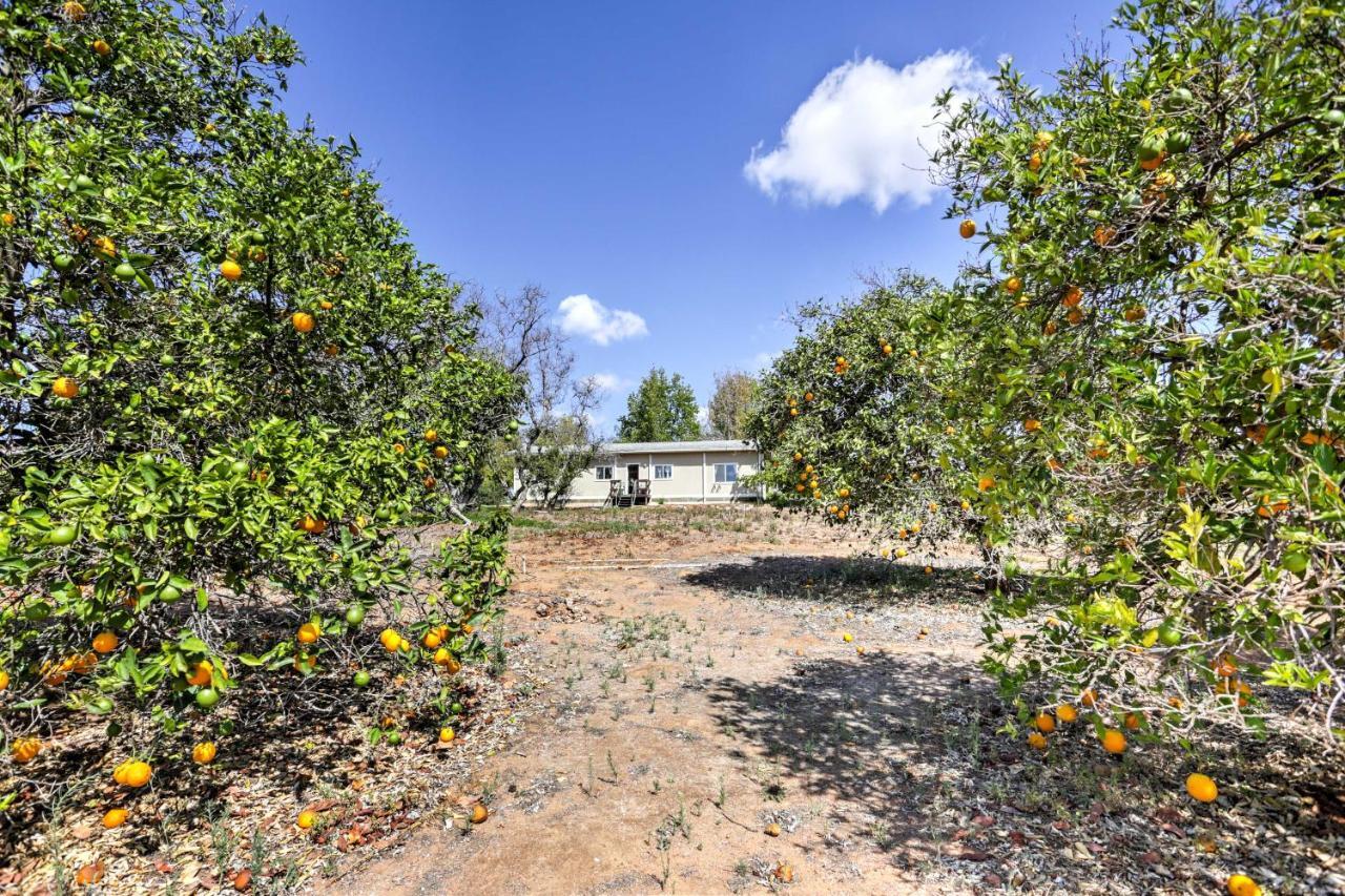 Villa Escondido Vineyard Estate Walk To Wineries! Exterior foto